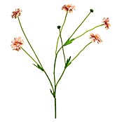 Kunstbloem Centaurea Madelon (Hoogte: 64 cm, Polyester, Roze) | BAUHAUS