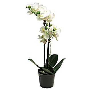 Kunstbloem Phalaenopsis Bora (Hoogte: 50 cm, Polyester)