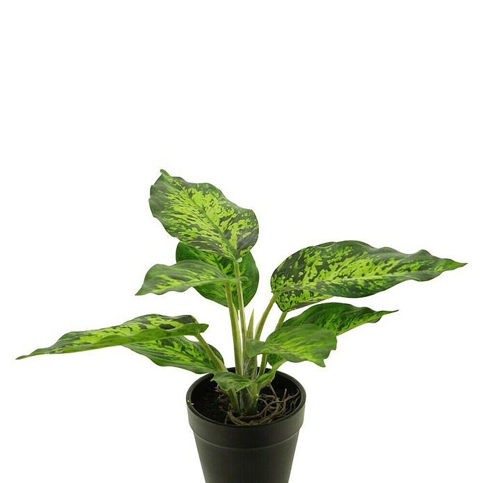 Kunstplant Dieffenbachia Tropicin (Hoogte: 25 cm, Polyester) | BAUHAUS