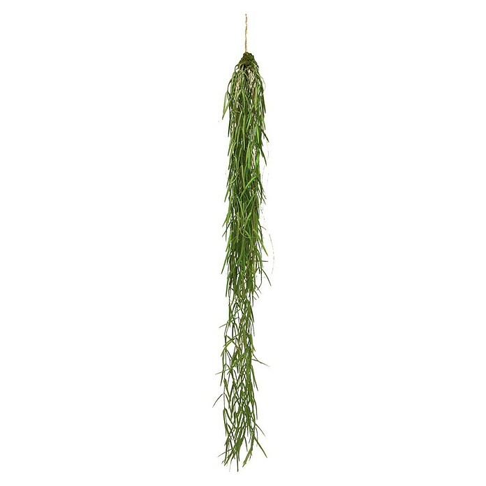 Kunstplant Sprengeri (Hoogte: 94 cm, Polyester) | BAUHAUS