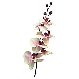 Kunstbloem Phalaenopsis (Hoogte: 78 cm, Polyester, Lavendel)