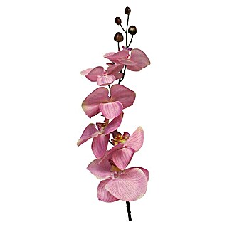 Kunstbloem Phalaenopsis (Hoogte: 78 cm, Polyester, Roze)