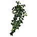 Kunstplant Ivy Chicago 