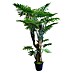 Kunstplant Philodendron Wasimu 