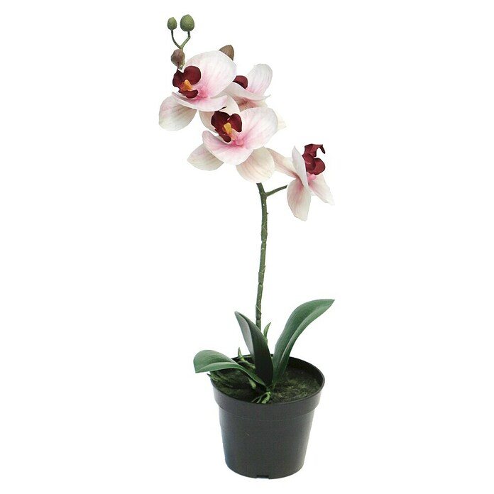 Kunstbloem Phalaenopsis (Hoogte: 35 cm, Polyester, Roze) | BAUHAUS
