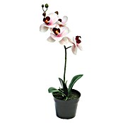 Kunstbloem Phalaenopsis (Hoogte: 35 cm, Polyester, Roze) | BAUHAUS