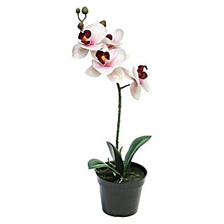 Kunstbloem Phalaenopsis (Hoogte: 35 cm, Polyester, Roze)