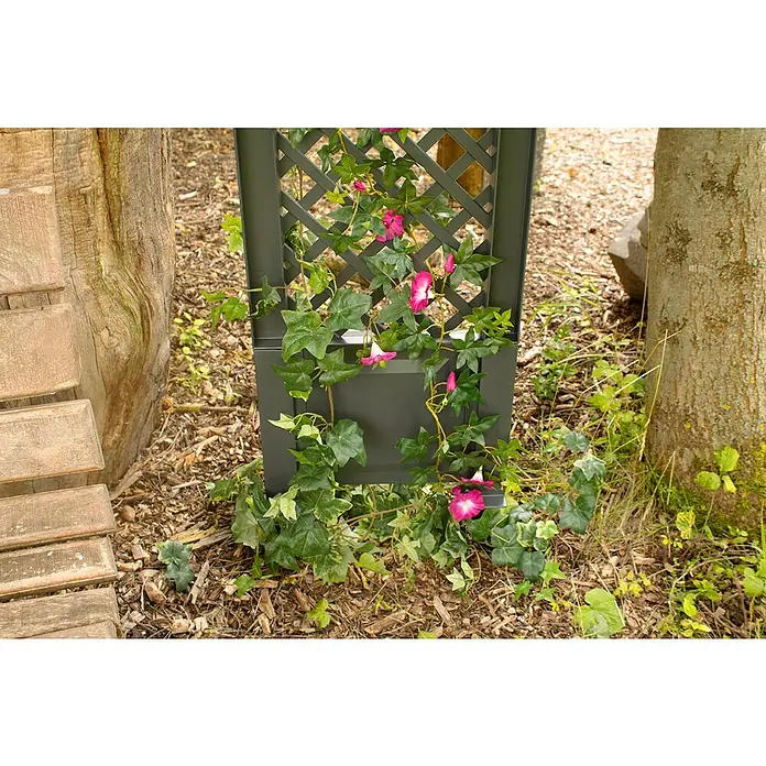 KHW Rankgitter 2er-Set - L x H: 43 x 137 cm, Anthrazit - Rankgitter mit üppigen grünen Blättern und leuchtend pinkfarbenen Blüten, das eine natürliche und charmante Gartendekoration bietet.