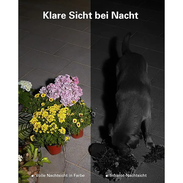 Eufy Überwachungskamera SoloCam S40 T8124 - L x B x H: 172 x 96 x 175 mm - Klare Nachtsicht: Farbiges Nachtsichtbild links, Infrarot-Nachtsichtbild rechts, das die Klarheit der Überwachungskamera hervorhebt.