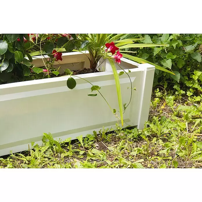 KHW Pflanzkasten - Außenmaß (L x B x H): 100 x 43 x 41 cm, Kunststoff, Weiß - Detailaufnahme