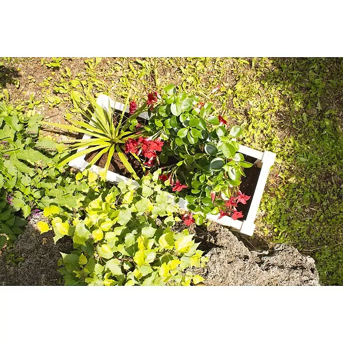 KHW Pflanzkasten - Außenmaß (L x B x H): 100 x 43 x 41 cm, Kunststoff, Weiß - Stimmungsaufnahme