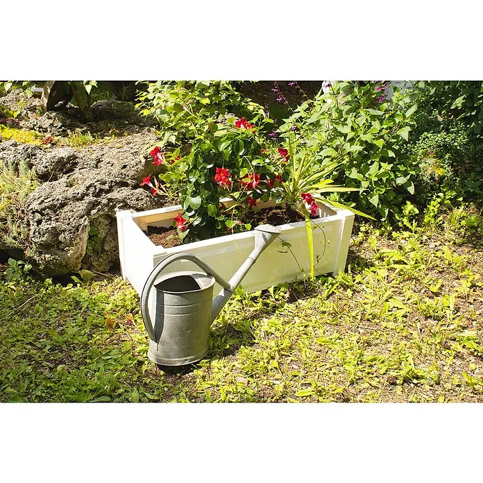 KHW Pflanzkasten - Außenmaß (L x B x H): 100 x 43 x 41 cm, Kunststoff, Weiß - Eine Zinkgießkanne steht vor einem weißen Blumenkasten mit roten Blumen, der sich in einem Garten befindet.