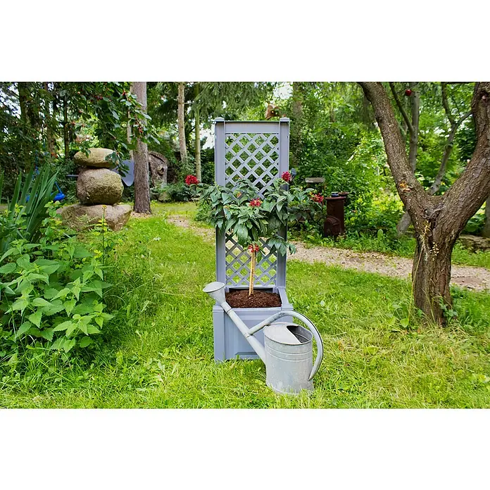 KHW Pflanzkasten - Außenmaß (L x B x H): 43 x 43 x 140 cm, Kunststoff, Grau, Mit Rankgitter, 2 Stk. - Ein grauer Pflanzkasten mit Spalier und einer metallenen Gießkanne im Garten, die eine malerische Szene im Freien erzeugt.