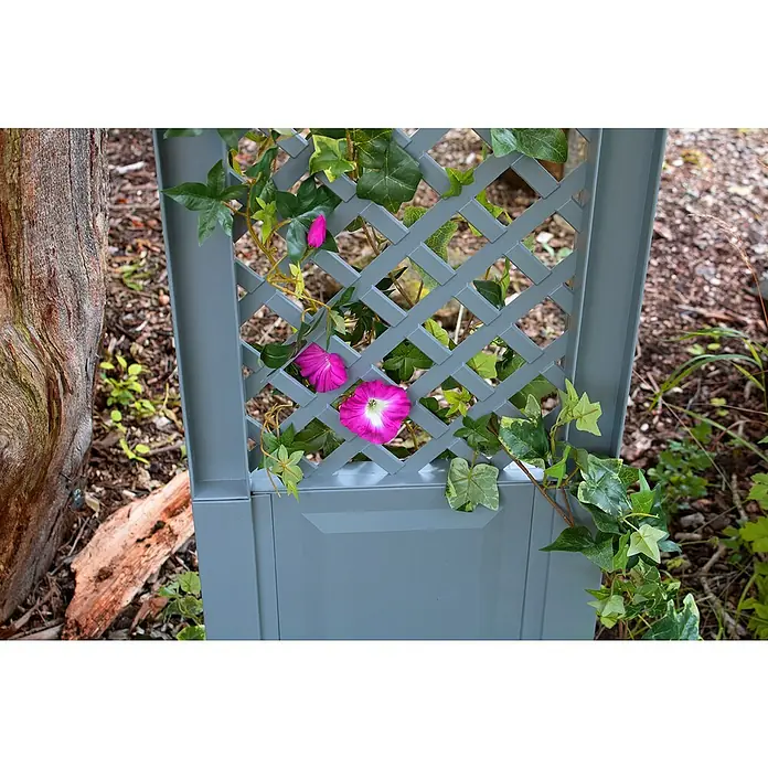 KHW Rankgitter 2er-Set - L x H: 43 x 137 cm, Grau - Dekorative graue Rankhilfe mit üppigem Efeu und leuchtend pinkfarbenen Blüten, die einen charmanten Blickfang im Garten bietet.