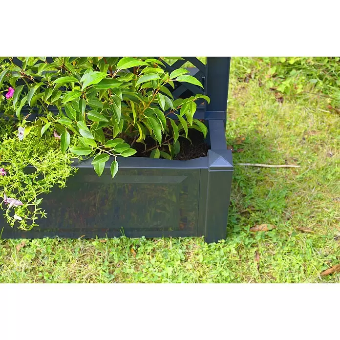 KHW Pflanzkasten mit Zentralspalier - Außenmaß (L x B x H): 100 x 43 x 140 cm, Kunststoff, Anthrazit - Dunkelgrauer Pflanzkasten mit Spalier, gefüllt mit grünen Pflanzen und kleinen Blüten.