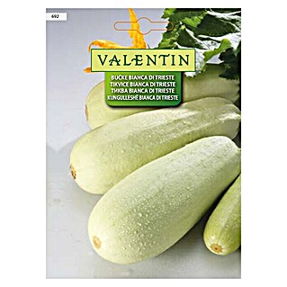 Valentin Sjeme povrća Tikvica Bianca di Trieste (Cucurbita pepo, Berba: Lipanj)