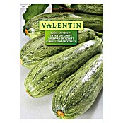 Valentin Sjeme povrća Tikvice Greyzini  (Cucurbita pepo L., Berba: Srpanj) | BAUHAUS