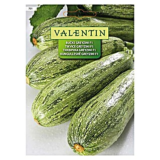 Valentin Sjeme povrća Tikvice Greyzini (Cucurbita pepo L., Berba: Srpanj)