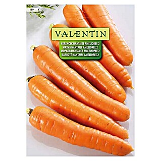 Valentin Sjeme povrća Mrkva Nantaise Amelioree 2 (Daucus carota L., Berba: Lipanj)