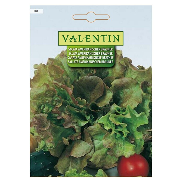 Valentin Sjeme povrća Salata Amerikanischer Brauner  (Lactuca sativa) | BAUHAUS