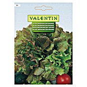 Valentin Sjeme povrća Salata Amerikanischer Brauner  (Lactuca sativa) | BAUHAUS