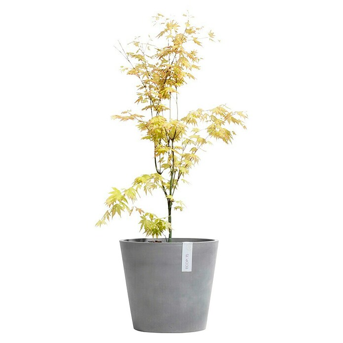 Ecopots Amsterdam Blumentopf (Ø x H: 50 x 43,8 cm, Grau)