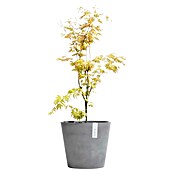 Ecopots Amsterdam Blumentopf (Ø x H: 50 x 43,8 cm, Grau)