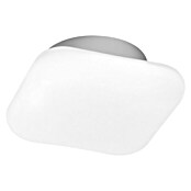 Ledvance LED-Wandleuchte (12 W, L x B x H: 20 x 20 x 9,4 cm, Weiß, Mehrfarbig) | BAUHAUS