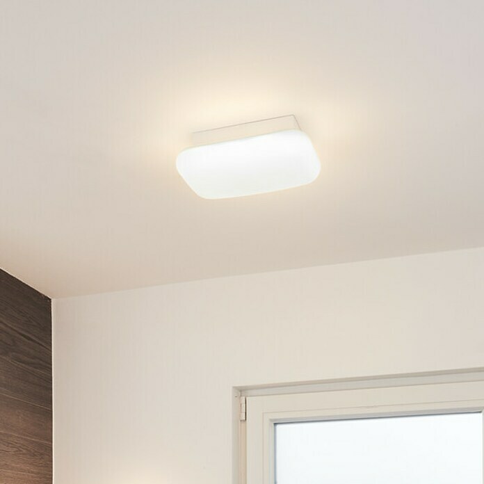 Ledvance LED-Wandleuchte (12 W, L x B x H: 20 x 20 x 9,4 cm, Weiß, Mehrfarbig) | BAUHAUS