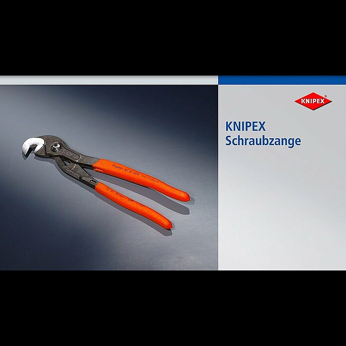 Knipex Schraubzange (Spannweite: 32 mm, Länge: 250 mm) | BAUHAUS