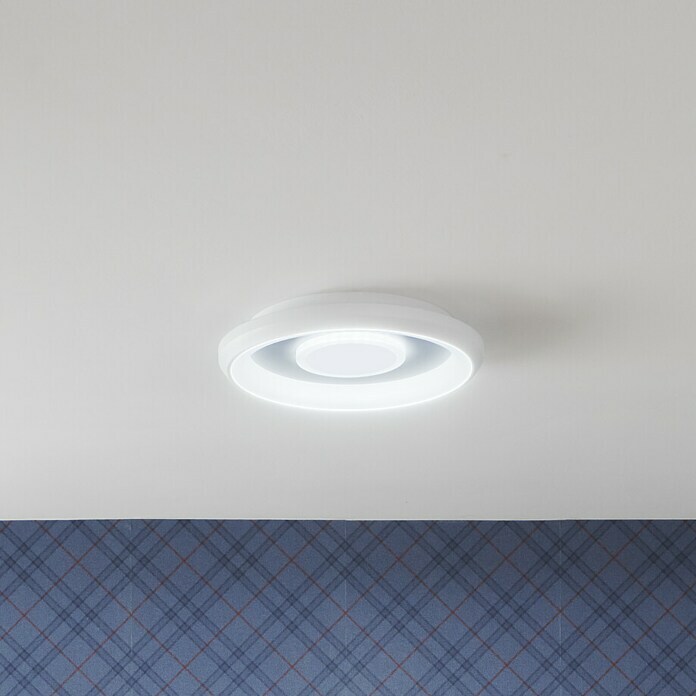 Ledvance LED-Deckenleuchte rund (32 W, Ø x H: 48,5 x 8 cm, Weiß, Mehrfarbig) | BAUHAUS