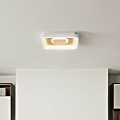 Ledvance LED-Deckenleuchte (32 W, L x B x H: 48,5 x 48,5 x 8 cm, Weiß, Mehrfarbig) | BAUHAUS