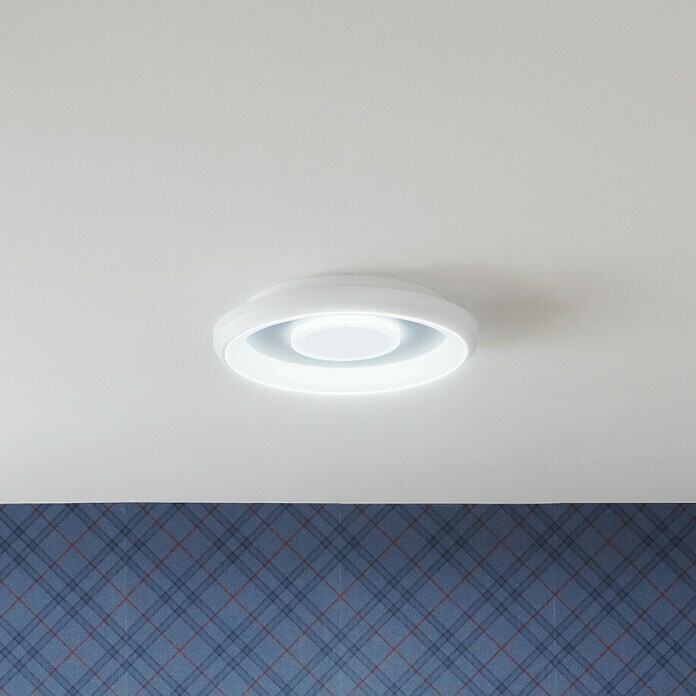 Ledvance LED-Deckenleuchte rund (32 W, Ø x H: 48,5 x 8 cm, Weiß, Mehrfarbig) | BAUHAUS