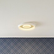 Ledvance LED-Deckenleuchte rund (32 W, Ø x H: 48,5 x 8 cm, Weiß, Mehrfarbig) | BAUHAUS