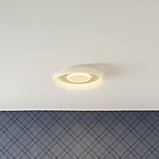 Ledvance LED-Deckenleuchte rund (32 W, Ø x H: 48,5 x 8 cm, Weiß, Mehrfarbig)