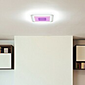 Ledvance LED-Deckenleuchte (32 W, L x B x H: 50 x 50 x 5,5 cm, Weiß, RGBW) | BAUHAUS