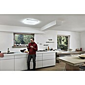 Ledvance LED-Deckenleuchte (42 W, L x B x H: 53 x 53 x 8,5 cm, Weiß, Mehrfarbig) | BAUHAUS