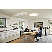 Ledvance LED-Deckenleuchte (42 W, L x B x H: 53 x 53 x 8,5 cm, Weiß, Mehrfarbig) | BAUHAUS