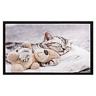 Otirač (Višebojan, D x Š: 60 x 40 cm, Slika mačke)