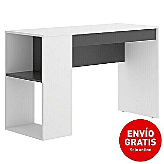 Dekit Mesa de escritorio Teo (L x An x Al: 50 x 115 x 74 cm, Blanco/Grafito)