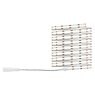 Paulmann Tira LED (Largo: 300 cm, Color de luz: Blanco neutro, 17 W, 230 V)