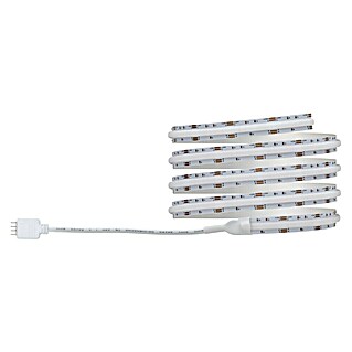 Paulmann LED traka (Duljina: 150 cm, Boja svjetla: RGB, 14,5 W, 230 V)