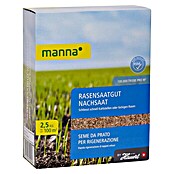 Manna Nachsaat-Rasen (2,5 kg, 100 m²) | BAUHAUS