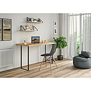 Mesa de escritorio Pletina (L x An x Al: 80 x 160 x 71 cm, Natural/Negro)