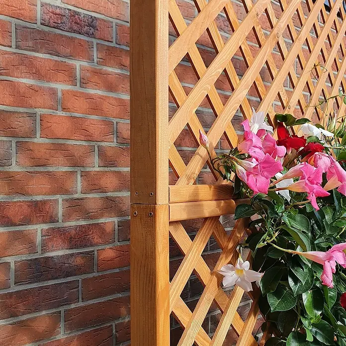 Promadino Pflanzkasten Romantica - Außenmaß (L x B x H): 120 x 38 x 210 cm, Holz, Honigbraun - Hölzernes Spalier mit bunten Blüten vor einer Backsteinmauer. Ideal zur Gartendekoration und als Rankhilfe für Pflanzen.