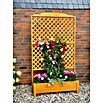Promadino Pflanzkasten Romantica (Außenmaß (L x B x H): 120 x 38 x 210 cm, Holz, Honigbraun) | BAUHAUS