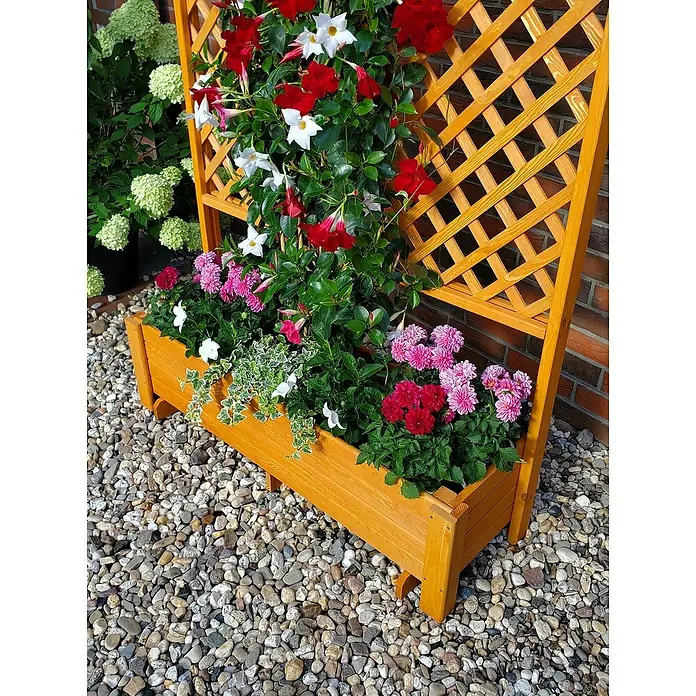 Promadino Pflanzkasten Romantica - Außenmaß (L x B x H): 120 x 38 x 210 cm, Holz, Honigbraun - Eine hölzerne Pflanzkasten-Kombination mit Rankgitter, bepflanzt mit roten und weißen Blüten, vor einer Backsteinmauer und Steinen.