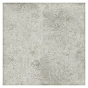 Pločica za terasu (Light Grey, 59,3 x 59,3 x 2 cm, Fina kamenština)