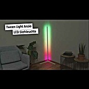 Tween Light LED-Stehleuchte Anzio (19 W, Höhe: 140 cm, Schwarz, RGB) | BAUHAUS