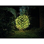 Light Creations LED-Lichtnetz (Anzahl LED: 60 Stk., Warmweiß, 1,2 x 1,2 m, Batteriebetrieben)